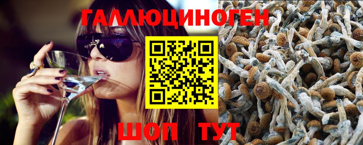 купить закладку  Галлюциногенные грибы Psilocybine cubensis  Вход с VPN  Артёмовский 